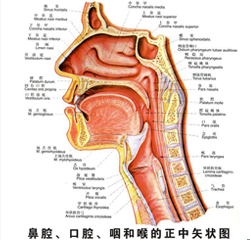 关于医院